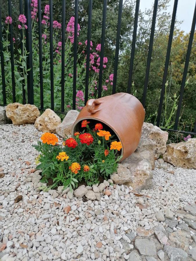Entre Ciel Et Terre Villa Besse-sur-Issole ภายนอก รูปภาพ
